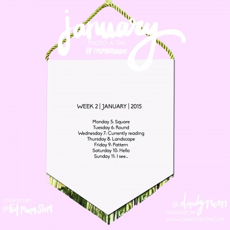 FMSPHOTOADAY JANUARY WEEK2