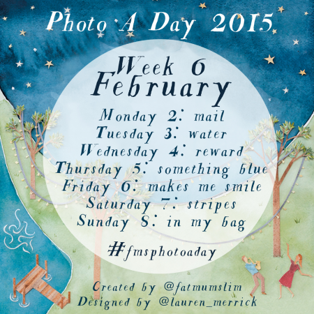 FMS_photoaday_WEEK6