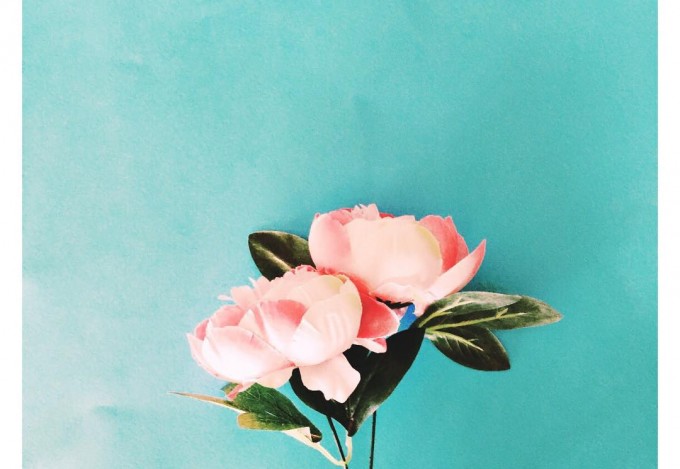 11722317_10153525117654254_1367426662532165354_o