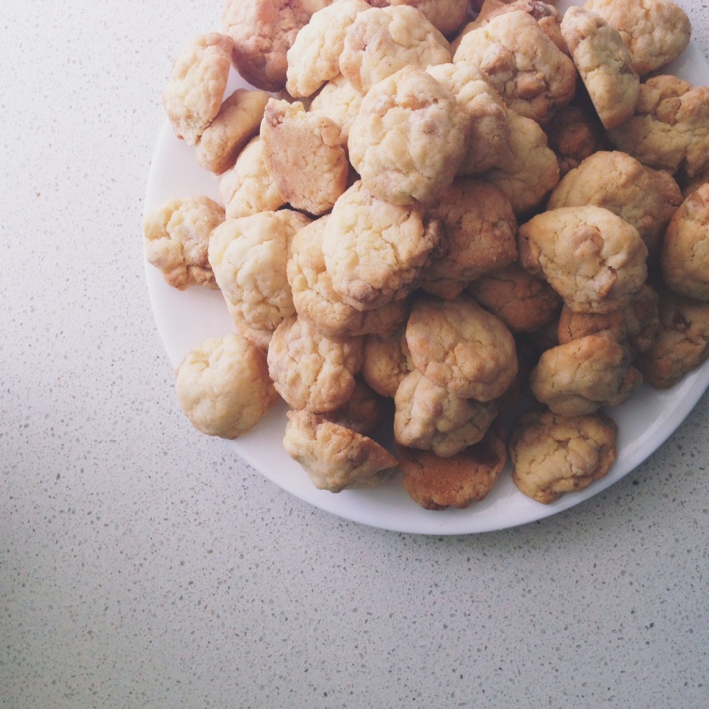 carol-s-cookies-pretty-much-the-easiest-biscuits-in-the-world-fat