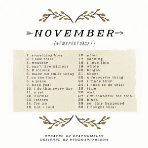 November Photo A Day 2014 | Join the challenge