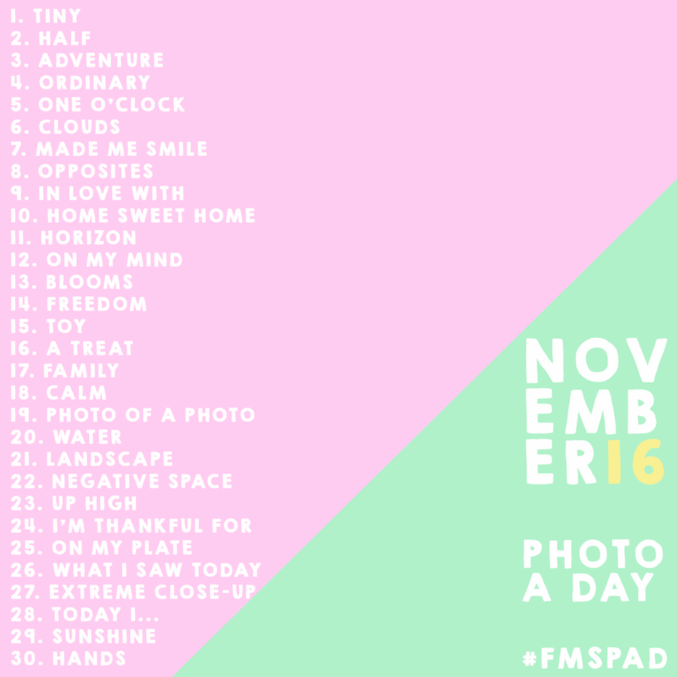 November Photo A Day Challenge 2016