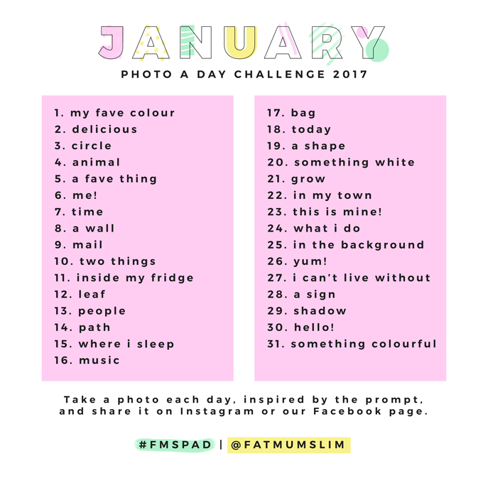 January 2017 Photo A Day Challenge