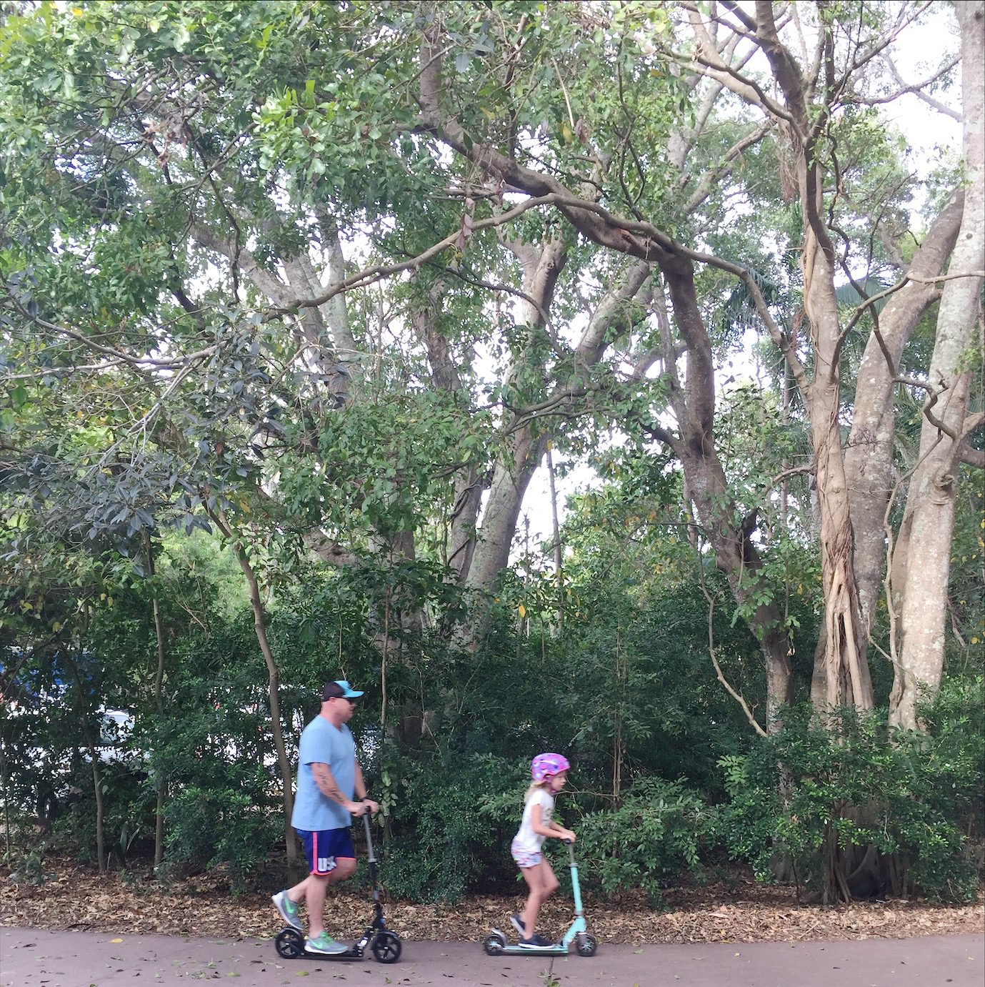 10 Family-Friendly Things To Do In Noosa With Kids