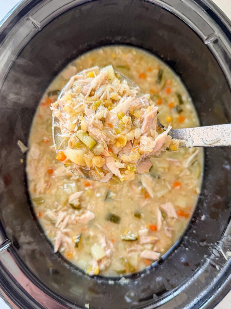 slow cooker chicken soup