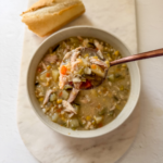 slow cooker chicken soup